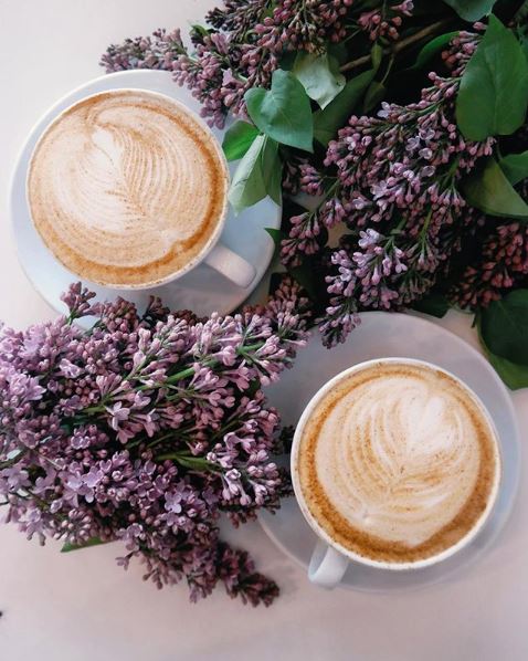Lavender Moon Milk – Zsweet